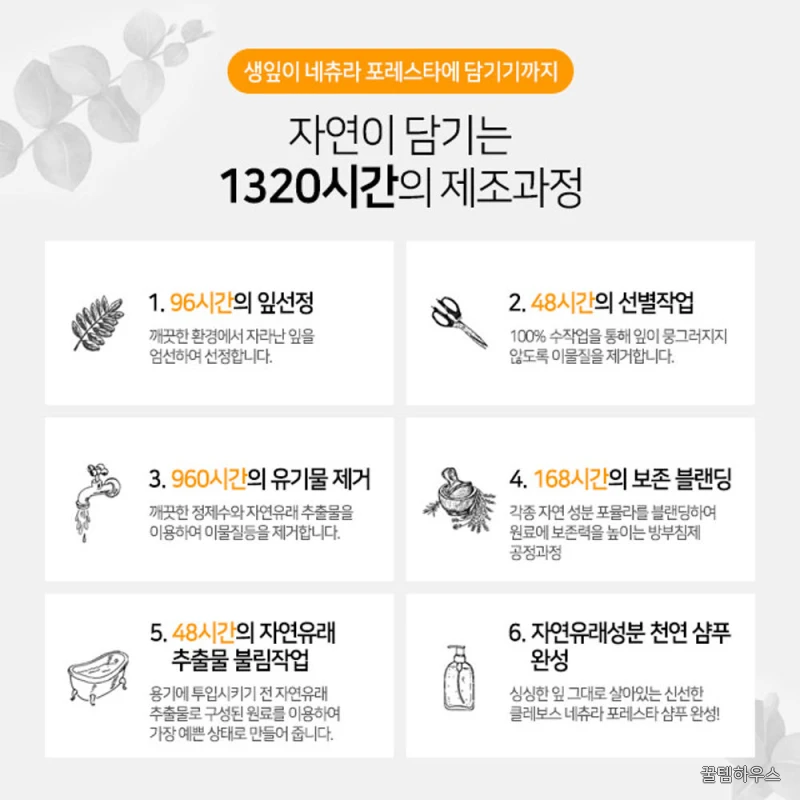 천연 임산부 샴푸 약산성 무실리콘 지루성 두피 유칼립투스 530ml 상세 이미지 3