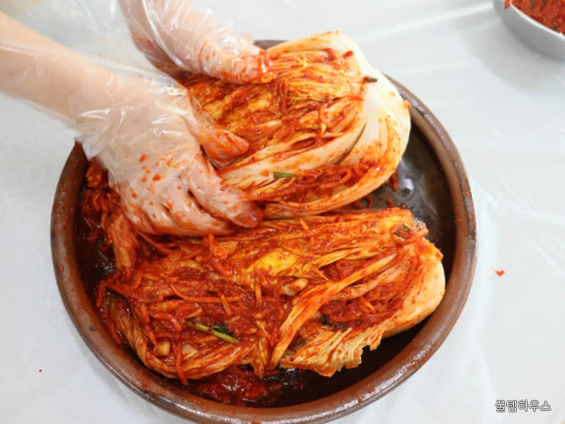 일품김치 국내산 배추김치 10kg 포기김치 안매운 상세 이미지 5