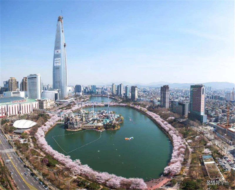 한국 서울 | 강남 벚꽃 투어 상세 이미지 2