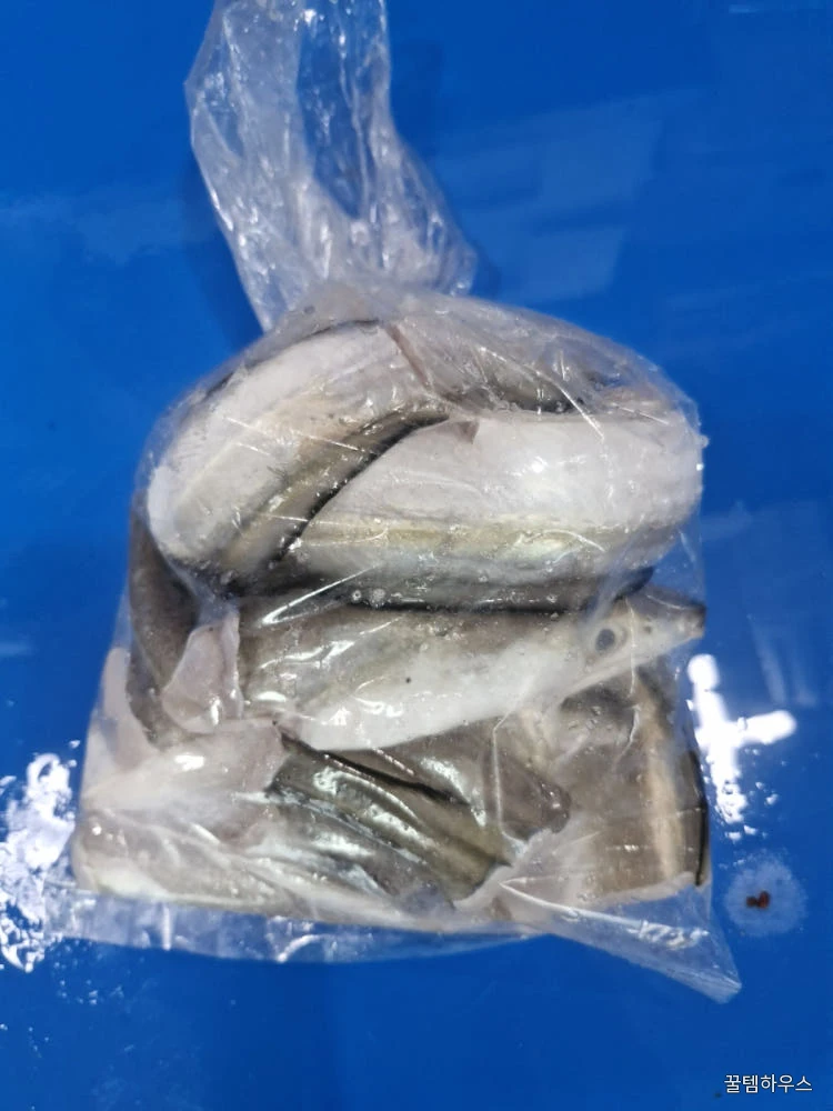 자연가득 갯장어 탕용 1kg 손질후 800g (3-5미) 머리포함 중간중간 토막 상세 이미지 5