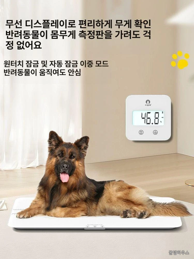 강아지 체중계 대형견 디지털 강아지체중계 정밀펫저울 고양이 전자저울 배터리다 허스키 상세 이미지 5