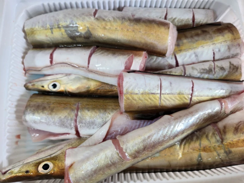 자연가득 갯장어 탕용 1kg 손질후 800g (3-5미) 머리포함 중간중간 토막
