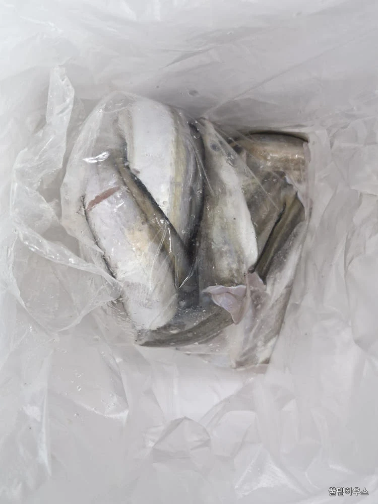 자연가득 갯장어 탕용 1kg 손질후 800g (3-5미) 머리포함 중간중간 토막 상세 이미지 6