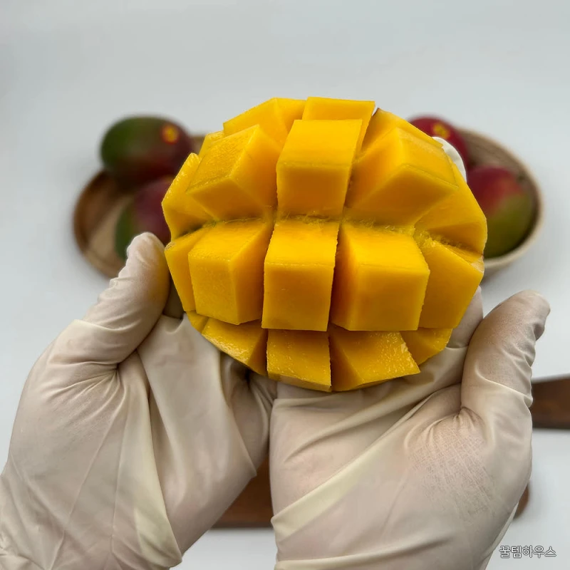 [금서율네] 망고 골드망고 애플망고 2kg 4kg 상세 이미지 4