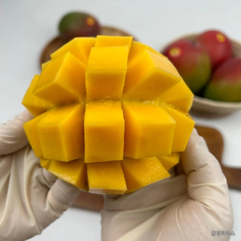 [금서율네] 망고 골드망고 애플망고 2kg 4kg 상세 이미지 3