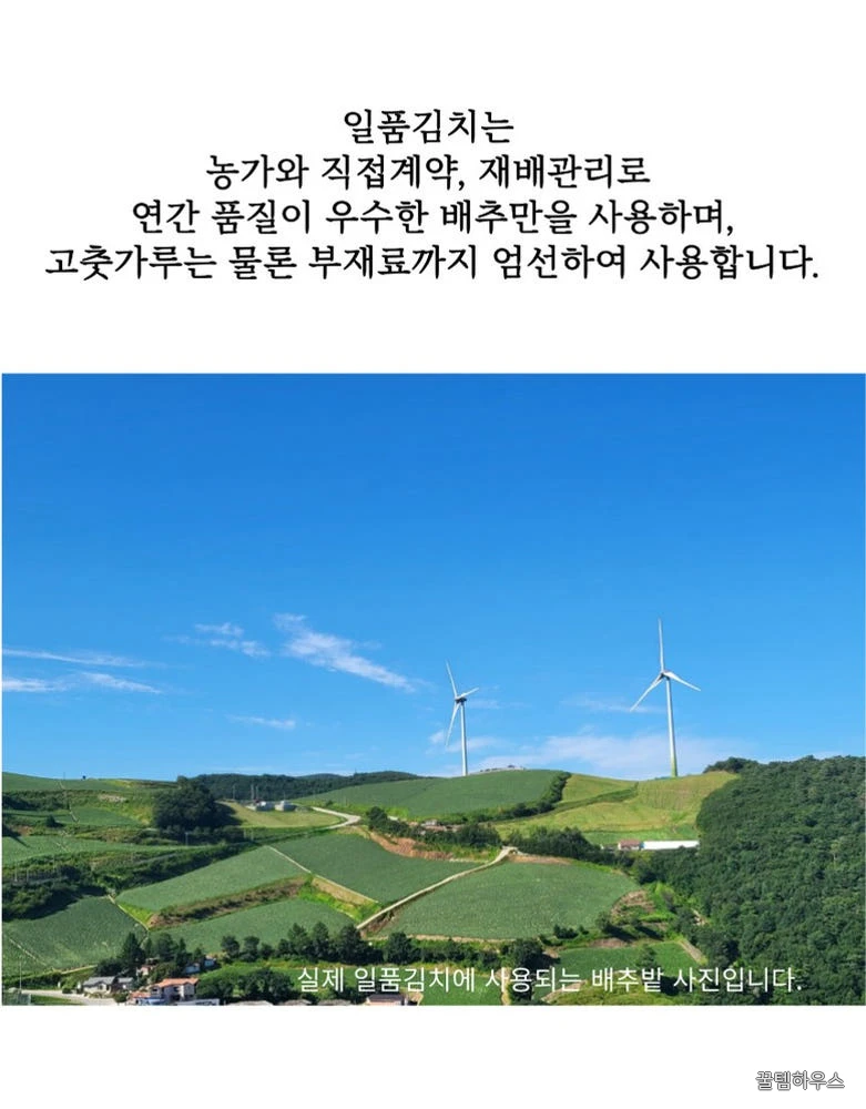 일품김치 국내산 배추김치 10kg 포기김치 안매운 상세 이미지 10