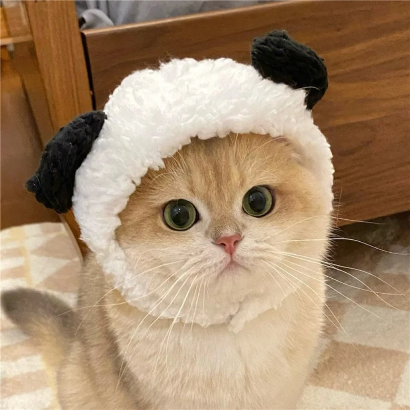 귀여운 펫 겨울 망토