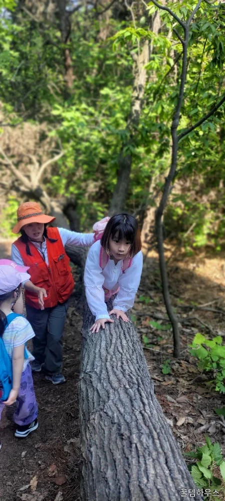 [북서울꿈의숲] 맘숲놀이와 함께하는 하브루타 여름 숲체험 상세 이미지 9
