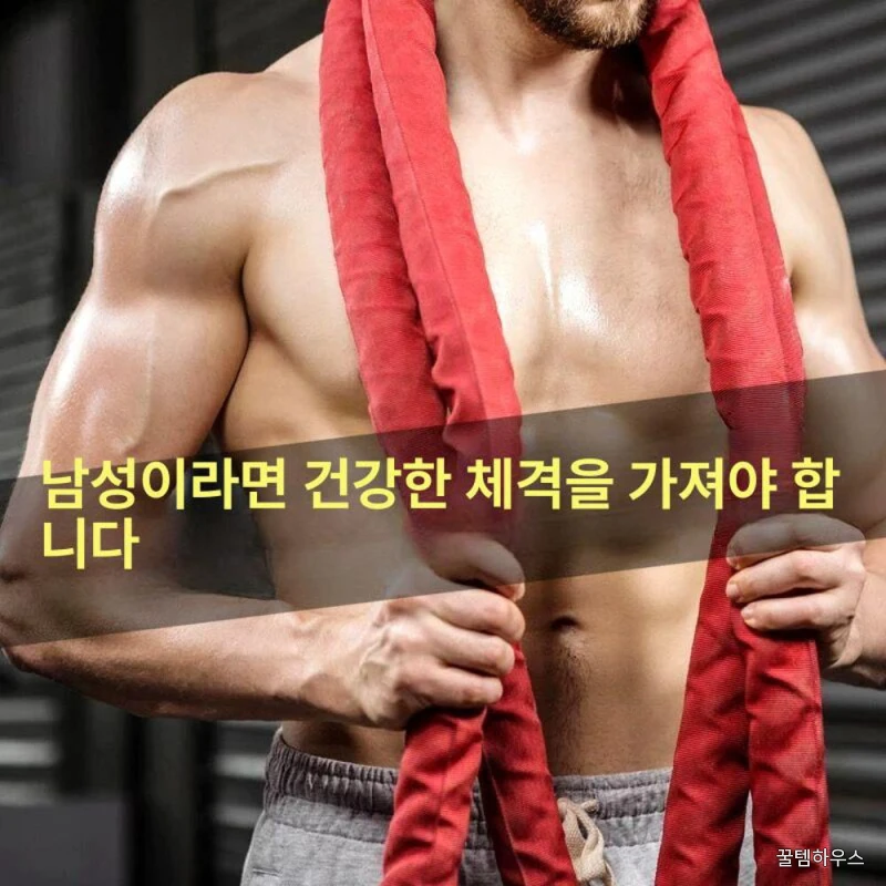 배틀 로프리스 헬스장 피트니스 전신운동 유산소 외줄 가정용 밧줄운동 홈짐 로프운동 상세 이미지 3