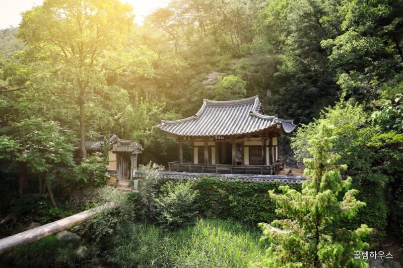 KTX 안동 미식여행 1박2일 기차여행 만휴정 봉정사 부용대 하회마을 식사제공 상세 이미지 7