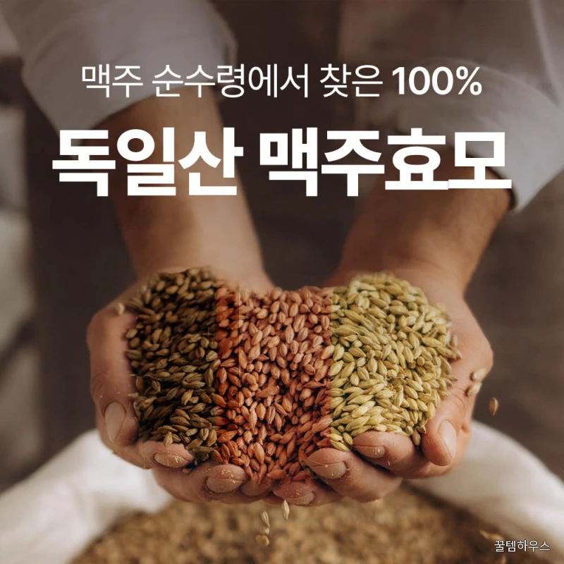 초고함량 독일 맥주효모 비오틴 10000 60정, 2개 상세 이미지 2