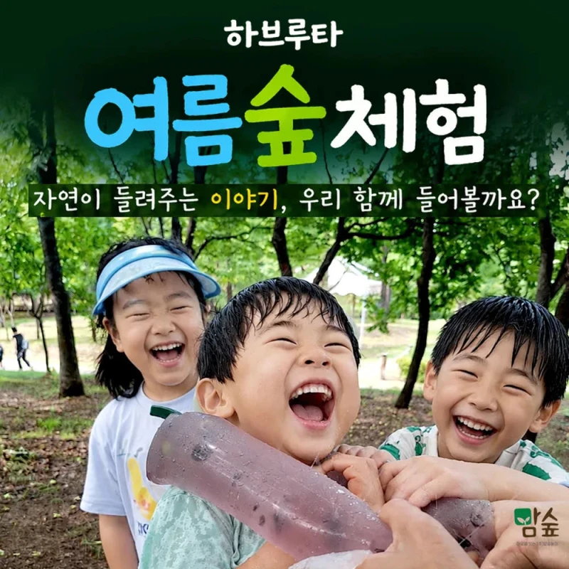하브루타, 숲에서 만나다
