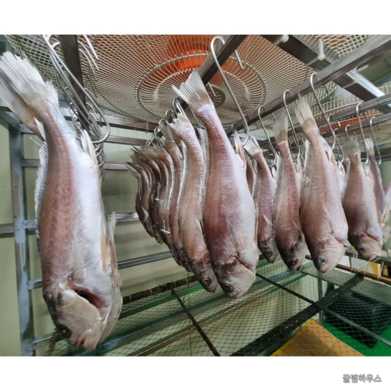 제수용 선물용 반건조 침조기 2마리,3마리 구성 상세 이미지 3