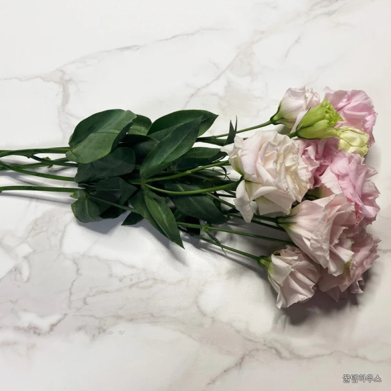 리시안셔스 랜덤 반단 꽃다발 생화택배 양재꽃시장 꽃배송 상세 이미지 6