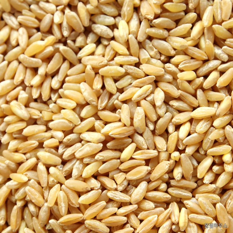 캐나다산 호라산밀 1kg+1kg 상세 이미지 4