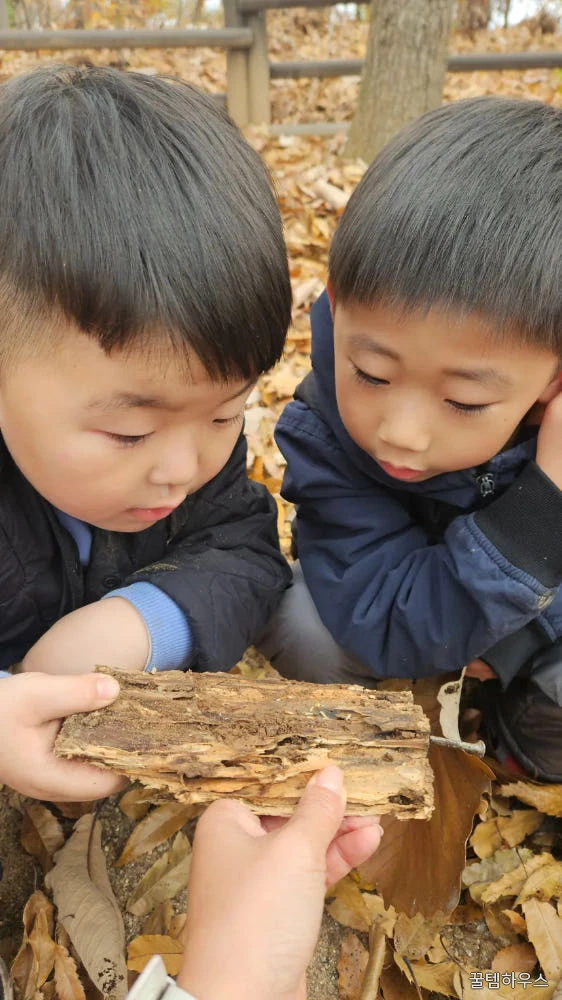 [북서울꿈의숲] 맘숲놀이와 함께하는 하브루타 여름 숲체험 상세 이미지 10