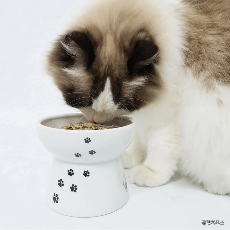 고양이 가쓰오부시 간식 가다랑어포+멸치, 30g, 1개 상세 이미지 5