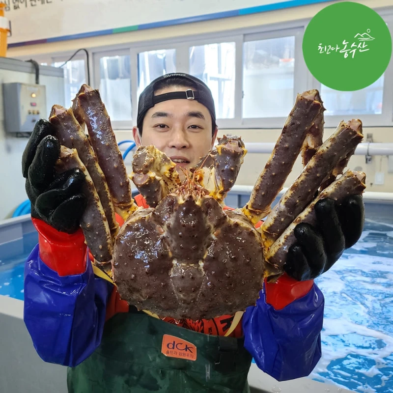 러시아 동해 속초 활 대왕 블루 킹크랩 자숙 선어 활어 1kg 시세 싯가 홈파티음식배달
