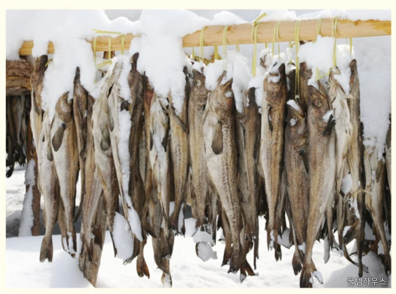 강원도 용대리 겨우내 자연건조 황태채 (단단하지만 깊은맛) 1kg, 5개 상세 이미지 2